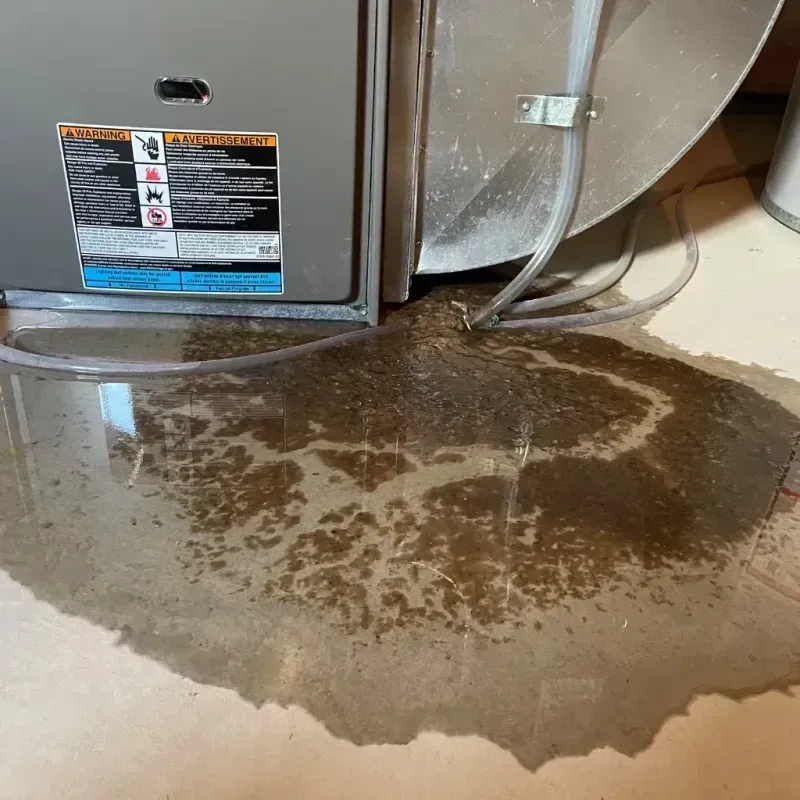 Appliance Leak Cleanup in Greenock, PA